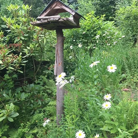 Apartment Feriendomizil Mikesh *