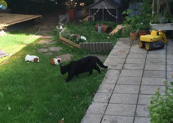 Апартаменты Feriendomizil Mikesh Аугустусбург