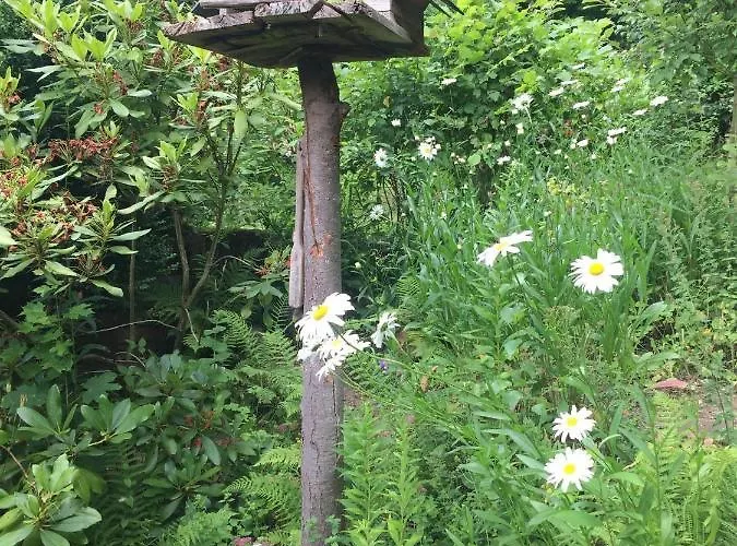 Апартаменты Feriendomizil Mikesh *