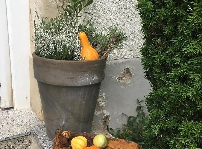 Апартаменты Feriendomizil Mikesh *