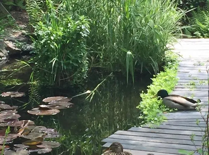 Feriendomizil Mikesh