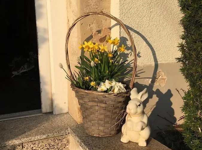 Feriendomizil Mikesh Апартаменты